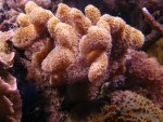 DSC01331.JPG