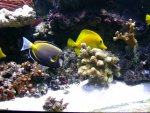 DSC01322.JPG