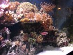 DSC01313.JPG