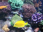 2013-12-04 19.24.57.jpg