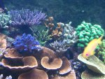 2013-12-04 19.25.30.jpg