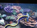 2013-12-04 19.31.34.jpg