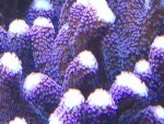 2013-12-04 19.32.17.jpg