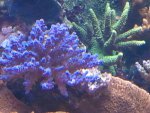 2013-12-04 19.32.59.jpg