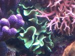 2013-12-04 19.33.19.jpg