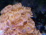 2013-12-04 19.34.23.jpg