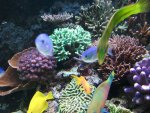 2013-10-19 12.38.32.jpg