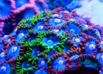 colors2.jpg