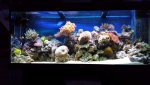 20131208_172248.jpg