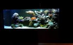 Aquarium 12-23-2013.jpg