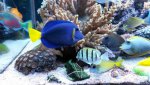 uploadfromtaptalk1388169856095.jpg