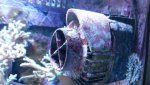uploadfromtaptalk1389735891924.jpg