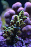DSC_0017.jpg DSC_0017.jpg