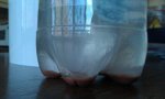 IMAG0879.jpg