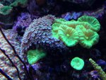 IMG_5803.jpg