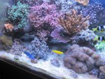 IMG0001 070.jpg IMG0001 070.jpg