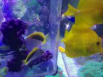 declivis17.3.14a.jpg