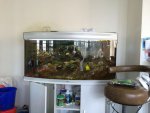 IMG-20140320-WA0022.jpg IMG-20140320-WA0022.jpg