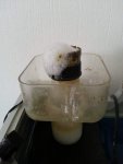 20140330_102039.jpg 20140330_102039.jpg