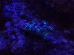 20140407_215524.jpg
