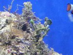 IMG-20140407-WA0010.jpg