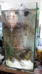 uploadfromtaptalk1400777613905.jpg