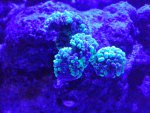 20140530_214449.jpg