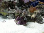 20140522_205446.jpg