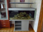 Percula 125.jpg Percula 125.jpg