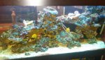 20140602_220911.jpg 20140602_220911.jpg