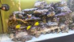20140606_200239.jpg 20140606_200239.jpg