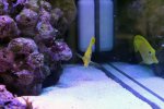 IMG_2919.jpg