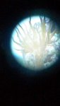 20140812_155908.jpg 20140812_155908.jpg