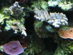 IMG_3350.jpg