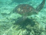 IMG_2049.jpg