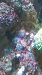 20140914_155825.jpg 20140914_155825.jpg