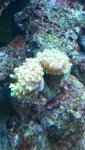20140929_152609.jpg 20140929_152609.jpg