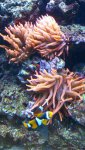 20140929_152626.jpg 20140929_152626.jpg