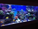 ImageUploadedByTapatalk1418154163.560182.jpg