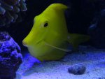 DSC01495.jpg
