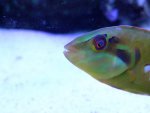 DSC01476.jpg