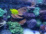 DSC01444.jpg