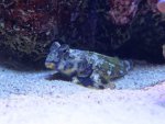 DSC01501.jpg