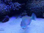 DSC01450.jpg