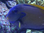 DSC01545.jpg