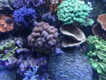 DSC01526.jpg