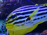 DSC01539.jpg