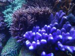 DSC01430.jpg