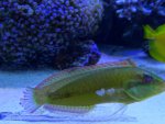 DSC01480.jpg