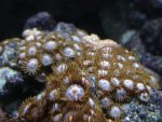 DSC01502.JPG